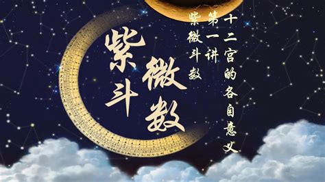 紫薇星|紫微斗数——紫微星十二宫详解